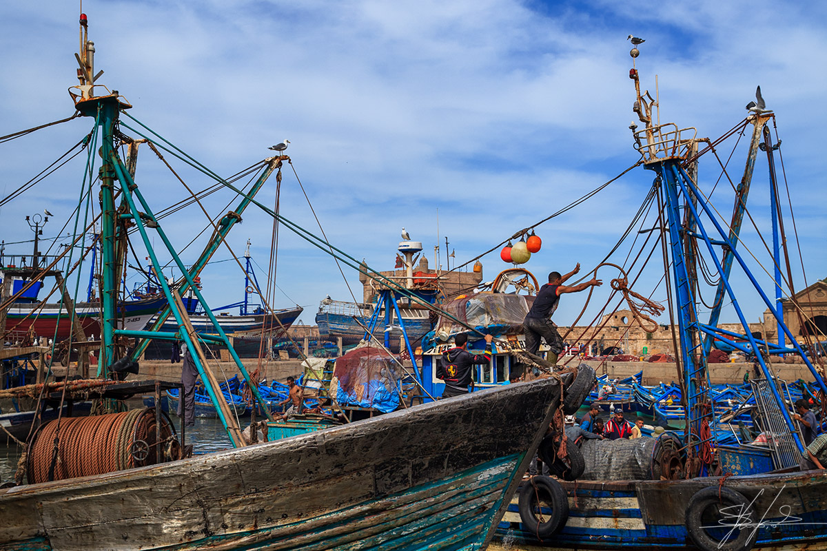 Essaouira_Fishing