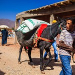 Morocco_reportage