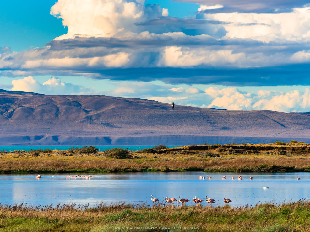 Morning at El Calafate, Argentina