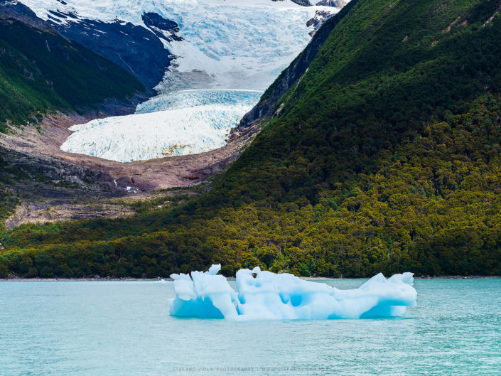 Between Glaciers and Forests