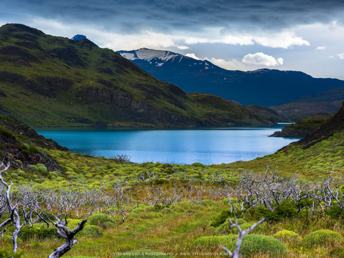 Nature's perfection - Torres del Paine