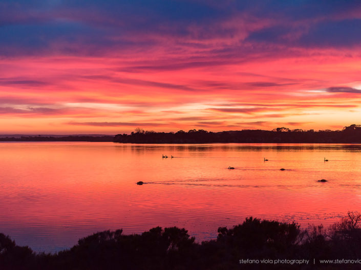 Sunrise at the Swan's lake in Kangaroo Island