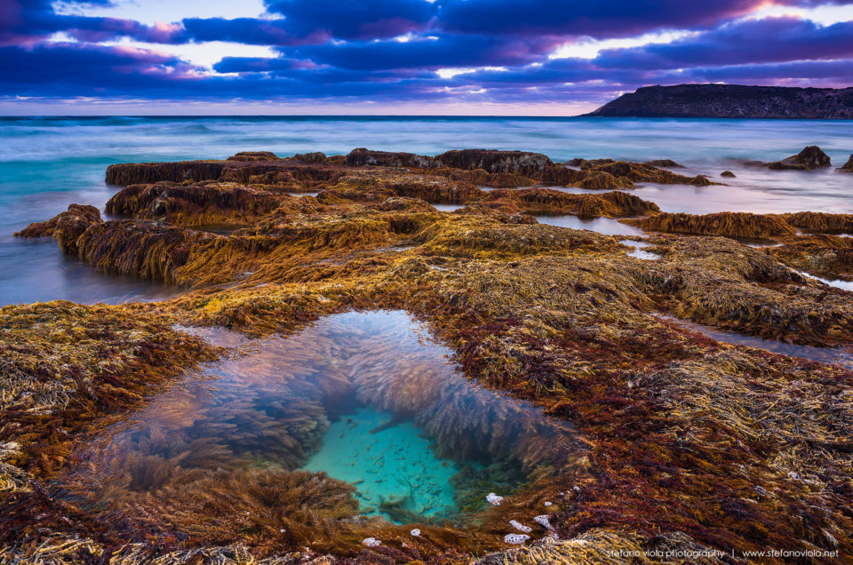 Sunset at Pennington Bay, Kangaroo Island