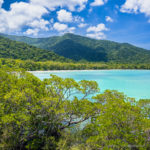 Daintree Forest - Queensland