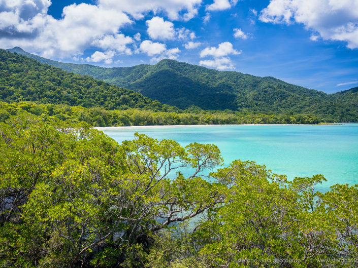 Daintree Forest - Queensland