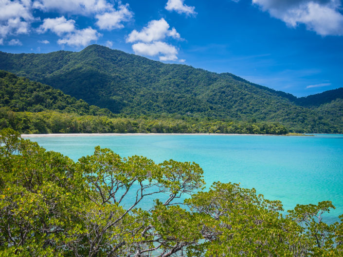 Daintree Forest - Queensland