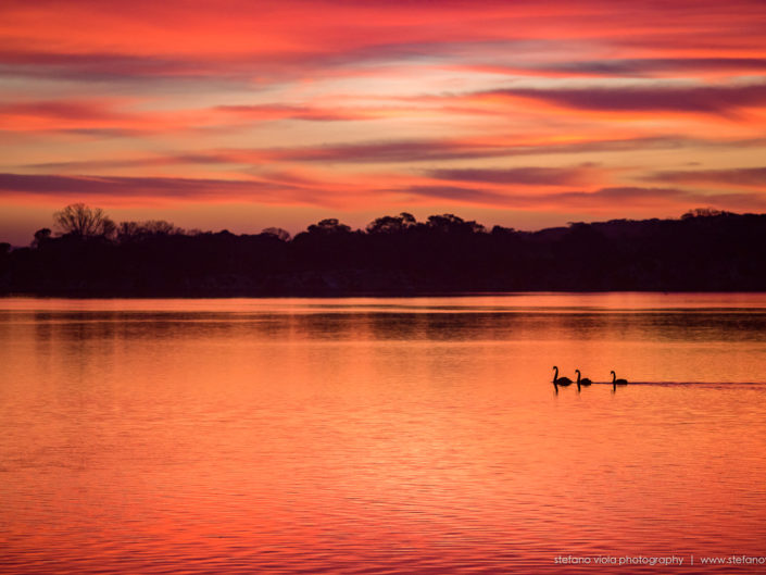 Kangaroo Island sunrise