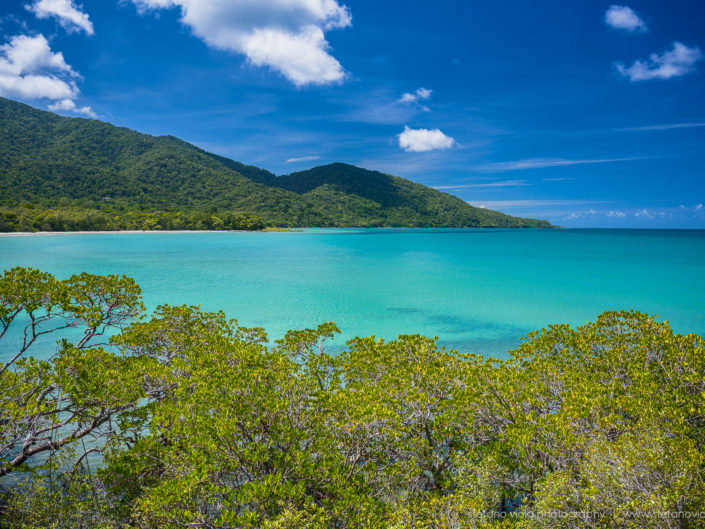 Daintree Forest - Queensland