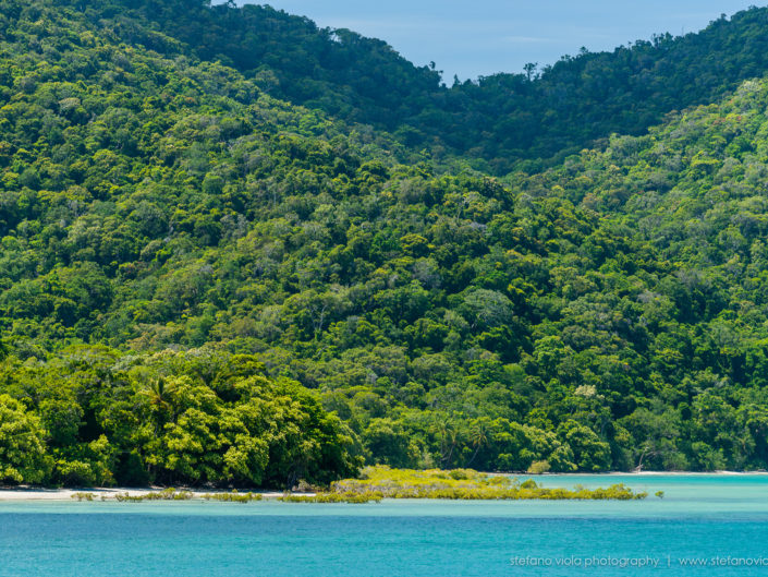 Daintree Forest - Queensland