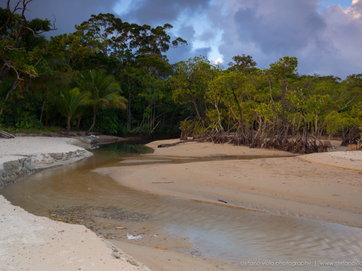 Daintree Forest - Queensland