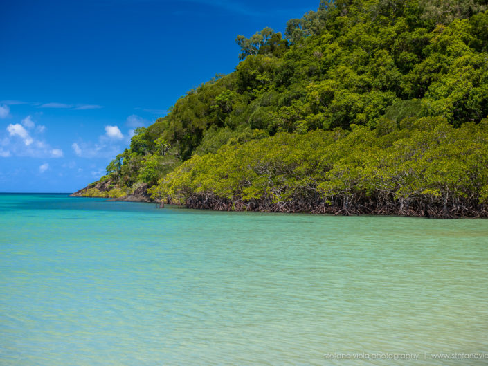 Daintree Forest - Queensland