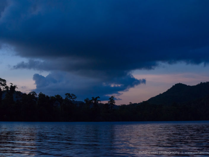 Daintree Forest - Queensland