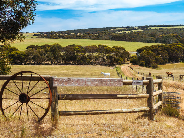 Driving around Tasmania