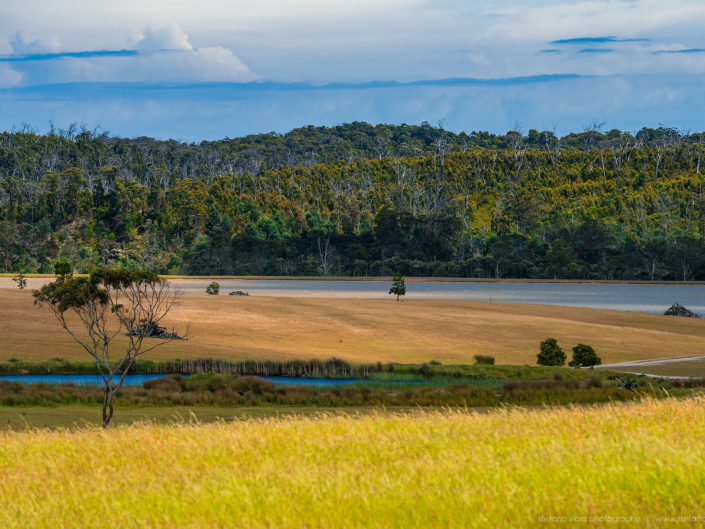 Driving around Tasmania